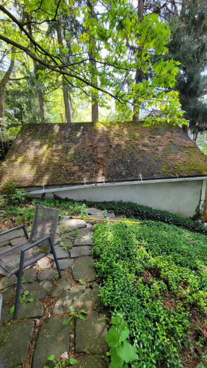 Roof Moss Removal Service in Ithaca, NY