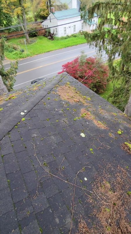 Roof Cleaning in Brooktondale, NY