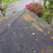 Roof Cleaning in Brooktondale, NY 0