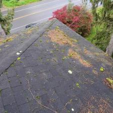 Roof Cleaning in Brooktondale, NY 2