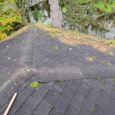 Roof Cleaning in Brooktondale, NY 4
