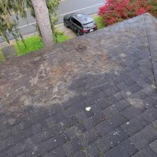 Roof Cleaning in Brooktondale, NY 7