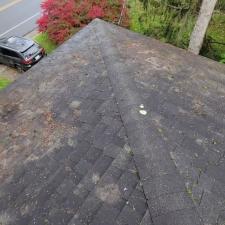 Roof Cleaning in Brooktondale, NY 8