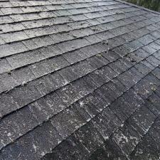 Roof Cleaning in Brooktondale, NY 15