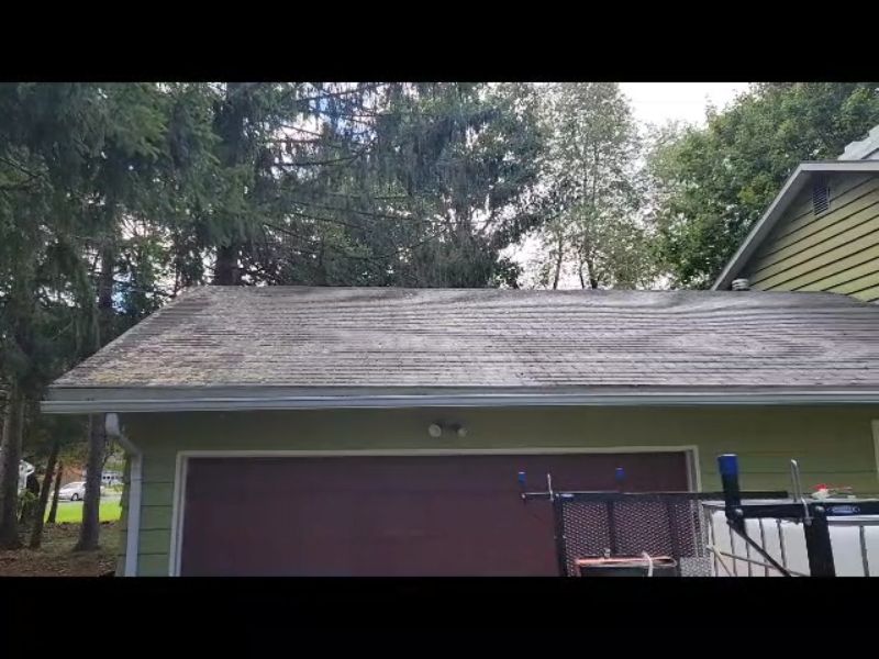 Roof Moss Removal in Ithaca, NY