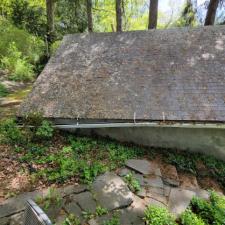 Moss Removal Ithaca 3